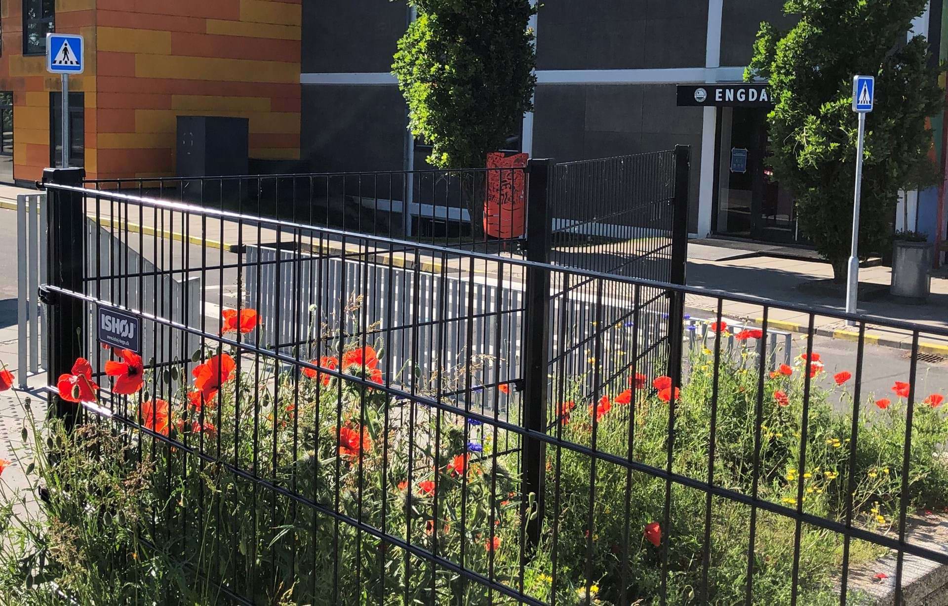 Blomsterbed foran Engdalskolen