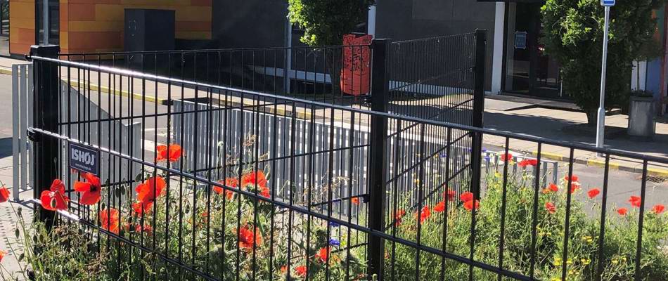 Blomsterbed foran Engdalskolen