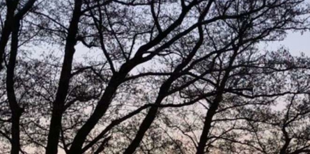 Begivenheder og ferie - Morgen ved søen - Engdalskolen